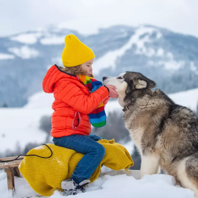 Active winter outdoors games for kids. Happy Christmas vacation concept. Boy enjoying winter with siberian husky dog, playing with sleigh ride in the winter forest