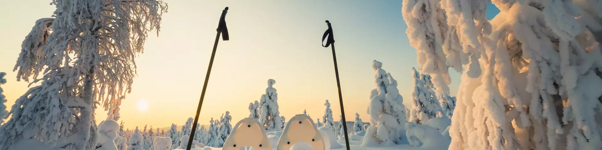 Winterlandschap met besneeuwde bomen en sneeuwschoenen