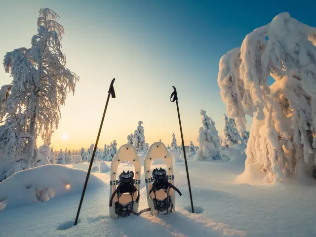 Winter landscape with snow and trees and blue sky