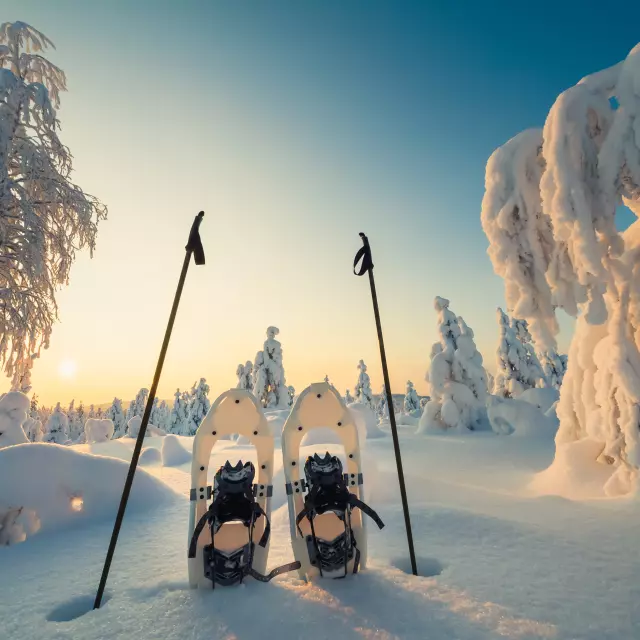 Winter landscape with snow and trees and blue sky