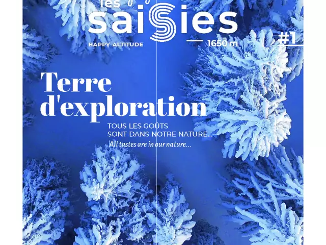 Les Saisies - 01 Web. Pagina invernale 01