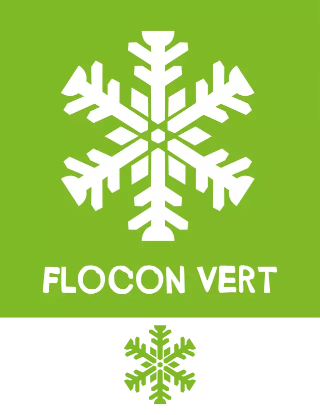 Logo Flocon Vert 1 Flocon